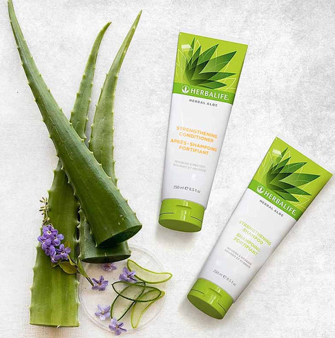 מרכך לחיזוק השיער – Herbal Aloe