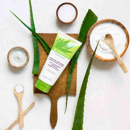 תחליב ידיים וגוף – Herbal Aloe