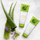 מרכך לחיזוק השיער – Herbal Aloe