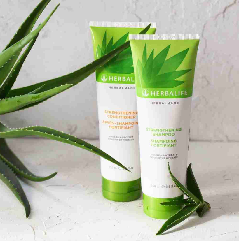 שמפו לחיזוק השיער – Herbal Aloe